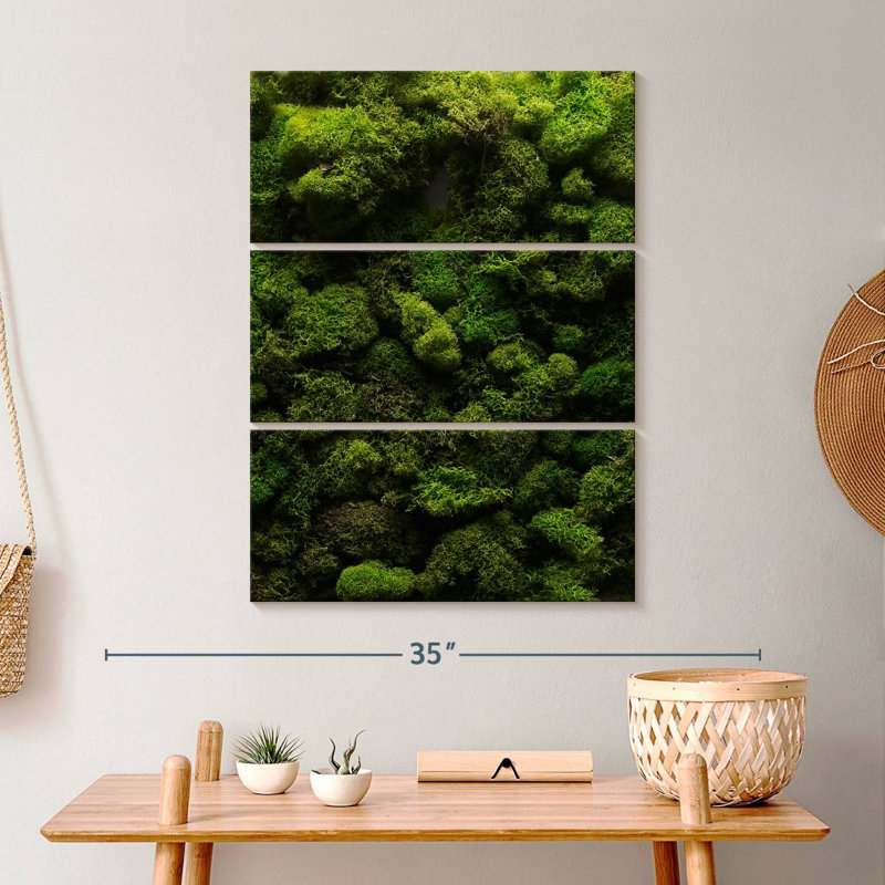 " Thick Moss " 3 - Pieces, 32" H x 20" W x 1.25" D