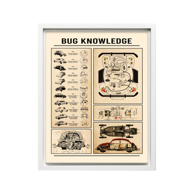 Bug Knowledge