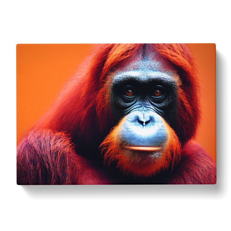 Magnetic Orangutan - Wrapped Canvas, 35cm H x 50cm W x 3cm D