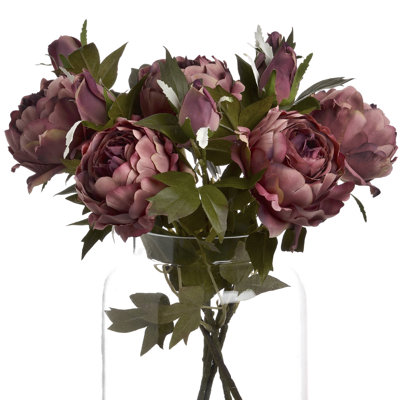 Anastasija Arrangement