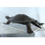 Statue en aluminium tortue Cooter avec pose rampante réaliste 38 po x 26 po x H 8 po