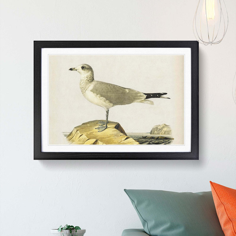 Common Gull by Von Wright - Picture Frame Painting Print, 48cm H x 65cm W x 2cm D, Black Framed