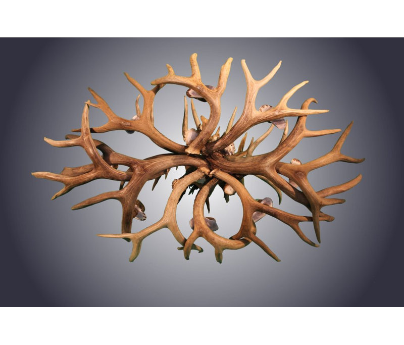 Kelly 8 - Light Wagon Wheel Chandelier, Traditional