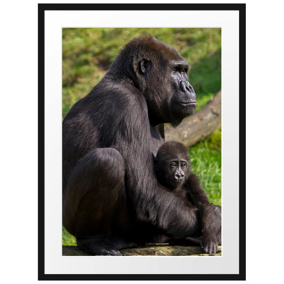 Gerahmtes Poster Liebevolle Gorillafamilie