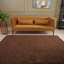 Myshaggy Collection Rugs Solid Design in Brown-1635559965