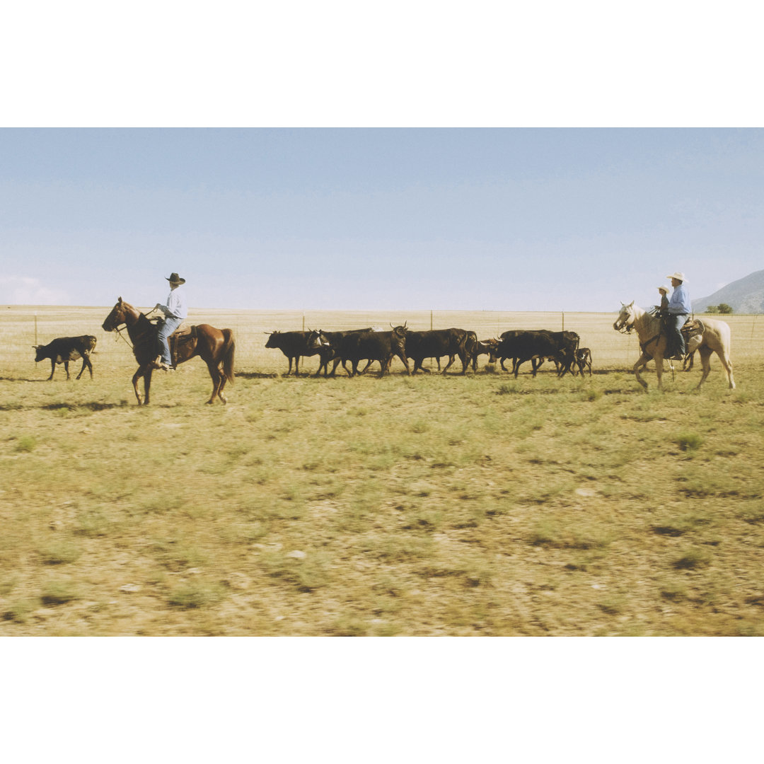 Cowboy Ranchers Working Cattle von RichLegg - Kunstdrucke auf Leinwand