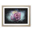 Multi-Coloured Rose Flower - Picture Frame Graphic Art Print-56861691-56861687