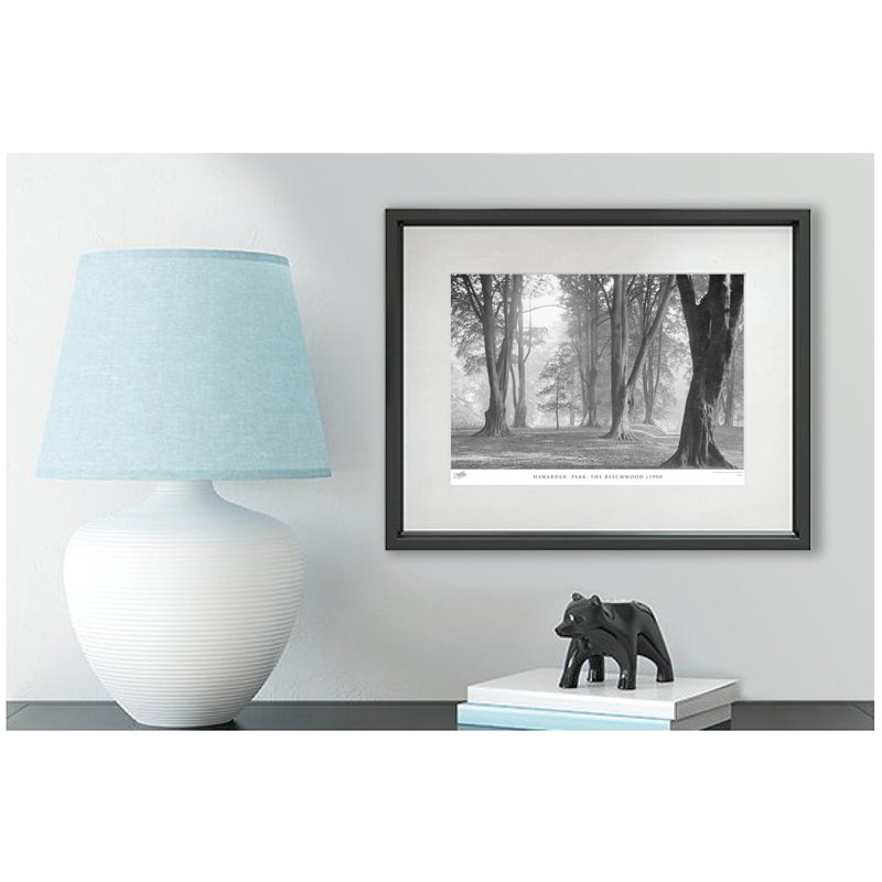 Hawarden, Park, The Beechwood C1900 by Francis Frith - Single Picture Frame Print, 45cm H x 60cm W x 2.3cm D