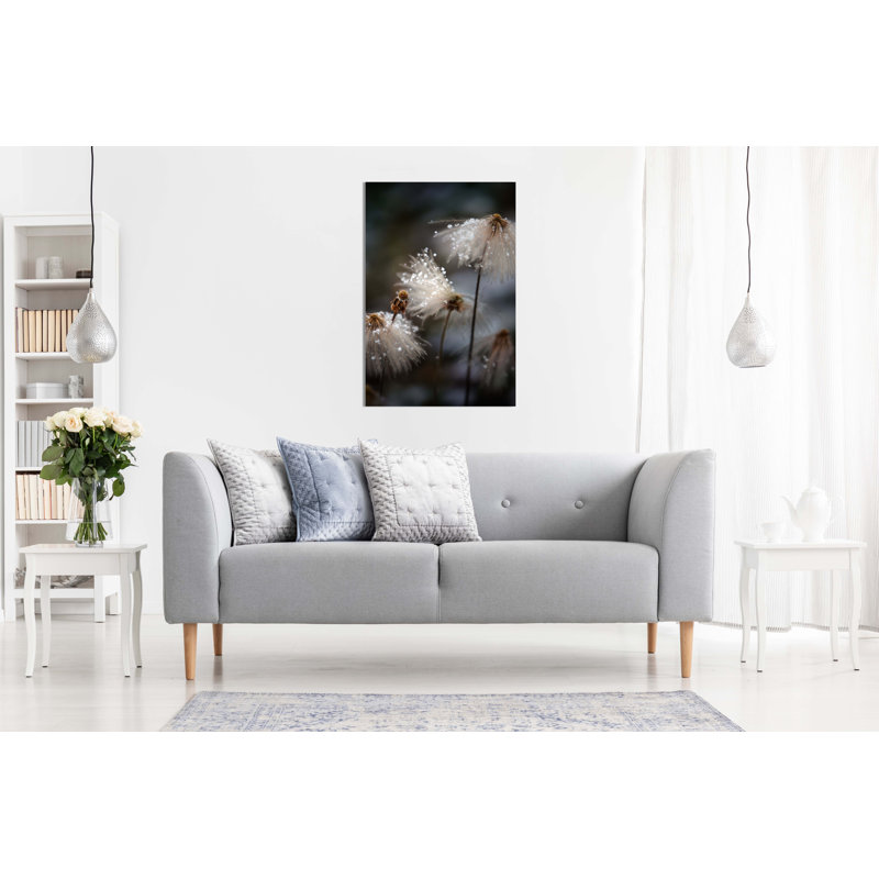 White Dandelion Covered In Snow - Wrapped Canvas Print, 31cm H x 20cm W