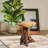Natural Tree Stump End Table
