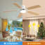 Ventilateur de plafond moderne à DEL de 52 pouces avec moteur à courant continu réversible à 5 pales de 110 V avec lumière-784753093