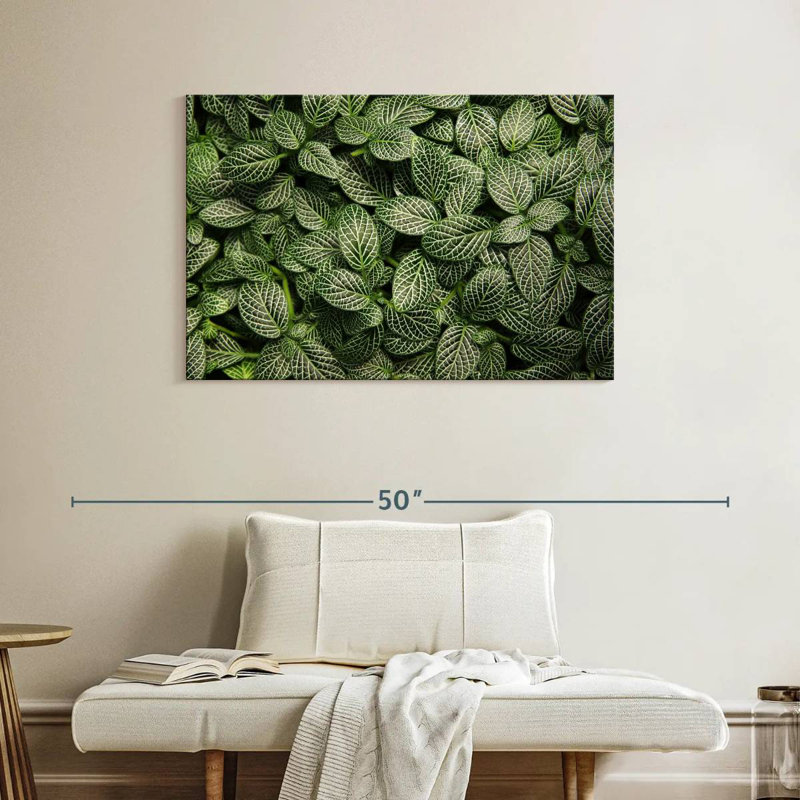 Harnek Green Nerve Plant