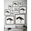 Celestial Balance by Marmont Hill - Single Picture Frame Painting-687666393