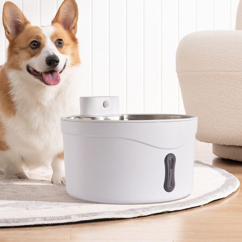 Pet Fountain