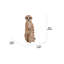 Surmeerkat mère et bébé