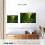 Impression sur toile Forest Stream-102354263