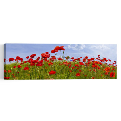 Champ de coquelicots vibrant, paysage abstrait et contemporain paisible, affiche murale