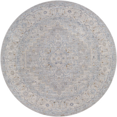 Vizcaino Oriental Indoor Rug