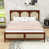 Noyer / beige est en rupture de stock
