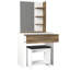 Gunthard Dressing Table with Mirror