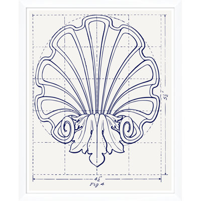 White Shell Study Framed Drawing Print