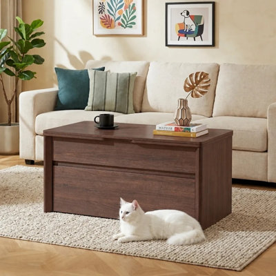 Table basse à plateau relevable avec rangement, tables basses 4 en 1 avec rangement caché et tiroir, vérin à gaz, table de salle à manger convertible de 41,7 po pour le salon, les petits espaces, les appartements et les bureaux à domicile