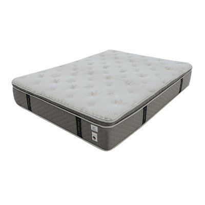 Matelas en mousse viscoélastique pelucheux 13 po Alwyn Home Jacklynne