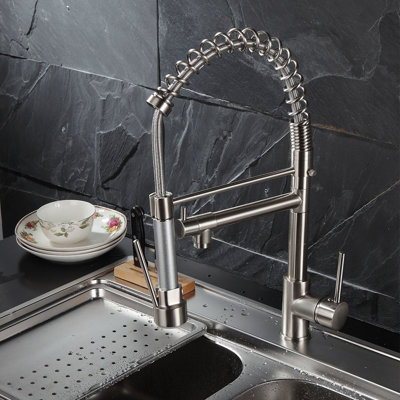 FLG Pull Down Kitchen Faucet