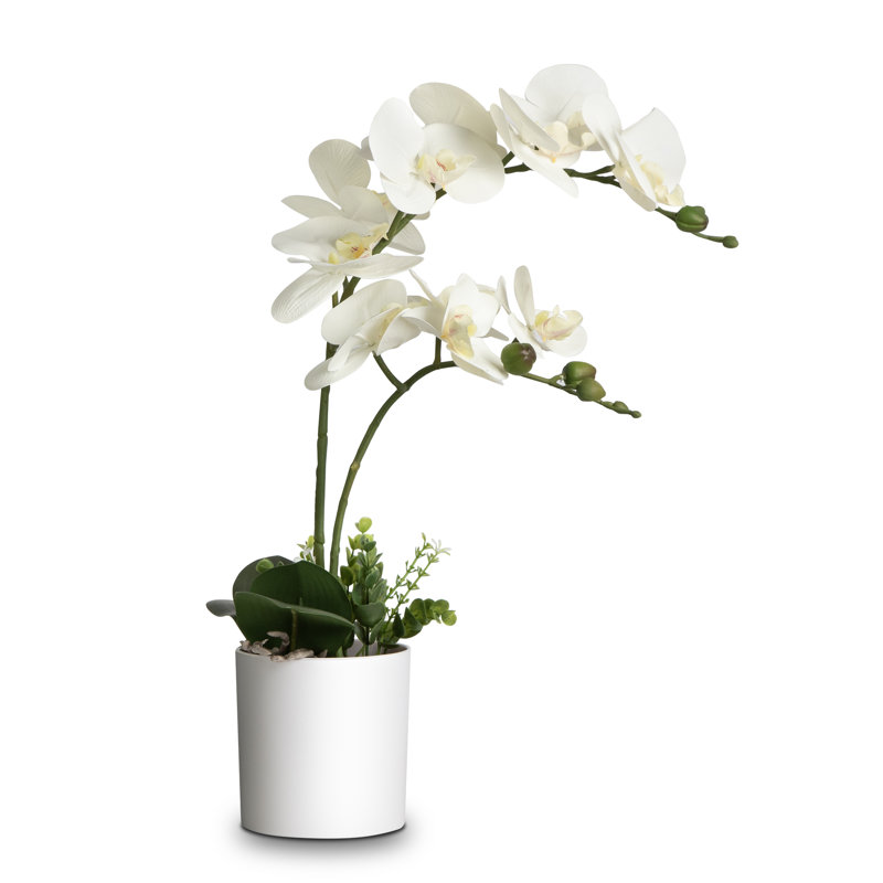 Arrangement de soie orchidée en pot, Blanc