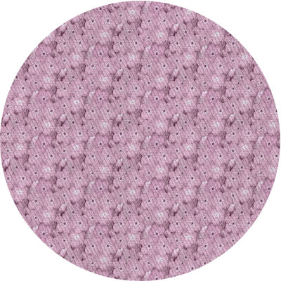 Asha Floral Indoor Rug