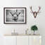 Wonderful Giraffe - Picture Frame Painting Print-56739753-56739755