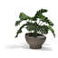 Jardinière Luna-124066407-124066409