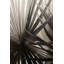 Grayscale Tropical Plants - Exotic Botanical, reproduction encadrée