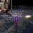 Alpine Lighted Trees & Branches-277961685