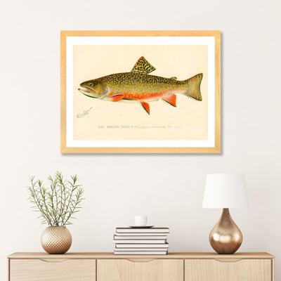 " The Brook Trout "