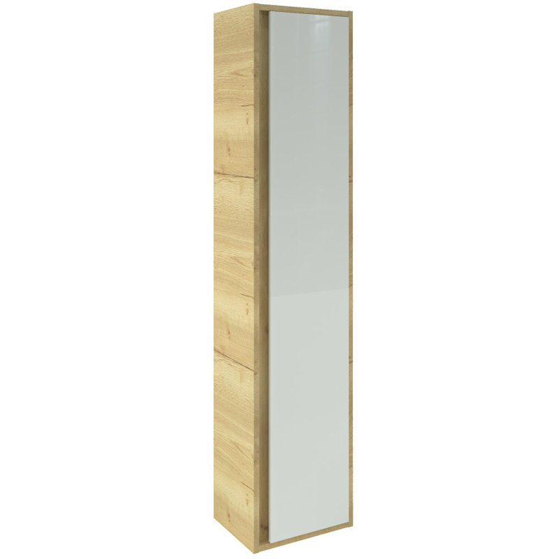 Triplett 35 x 160cm Wall Mounted Cabinet