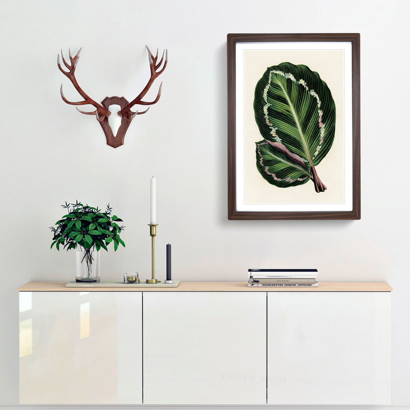 Rose Painted Calathea Leaves by Benjamin Fawcett - Framed Print, Walnut, 91cm H x 60cm W x 2cm D