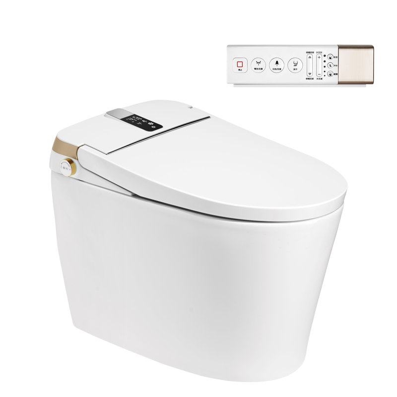 Elongated Bidet Smart Toilet 0.8 GPF with Adjustable Sprayer Settings, Deodorizing, Soft Close, Natural