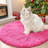 Pink Velvet Round Rug Non-Slip Shaggy Round Rug 5 ft Silk-Blend Rug Round Shag Rug Perfect for Teen Rooms Suitable for Bedrooms Suitable for Living Rooms Antibacterial Durable Material-555472345-560752771