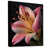 Black Floater Framed