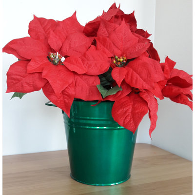 Jardinière de Noël