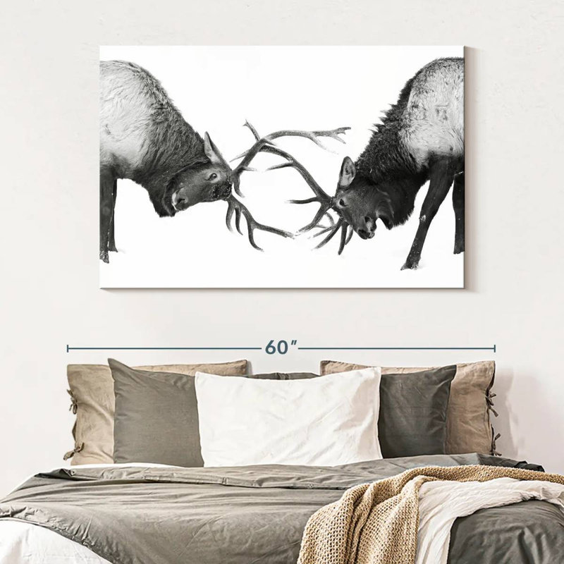 Brampt Fighting Elks, 34" H x 51" W