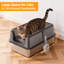 Litter Box-689733240