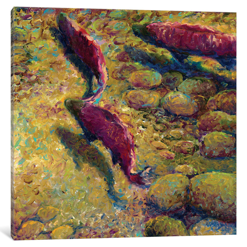Cork Creek by Iris Scott - Gallery-Wrapped Canvas Giclée, Black Framed Fine Art Paper, White, 16" H x 16" W x 1" D