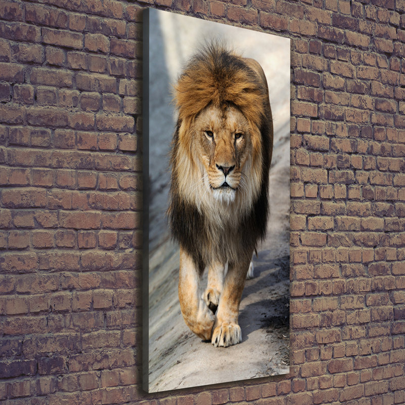 Lion - Wrapped Canvas Print