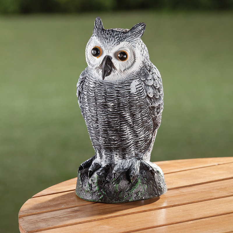 Capteur hibou