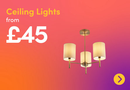 Ceiling Lights