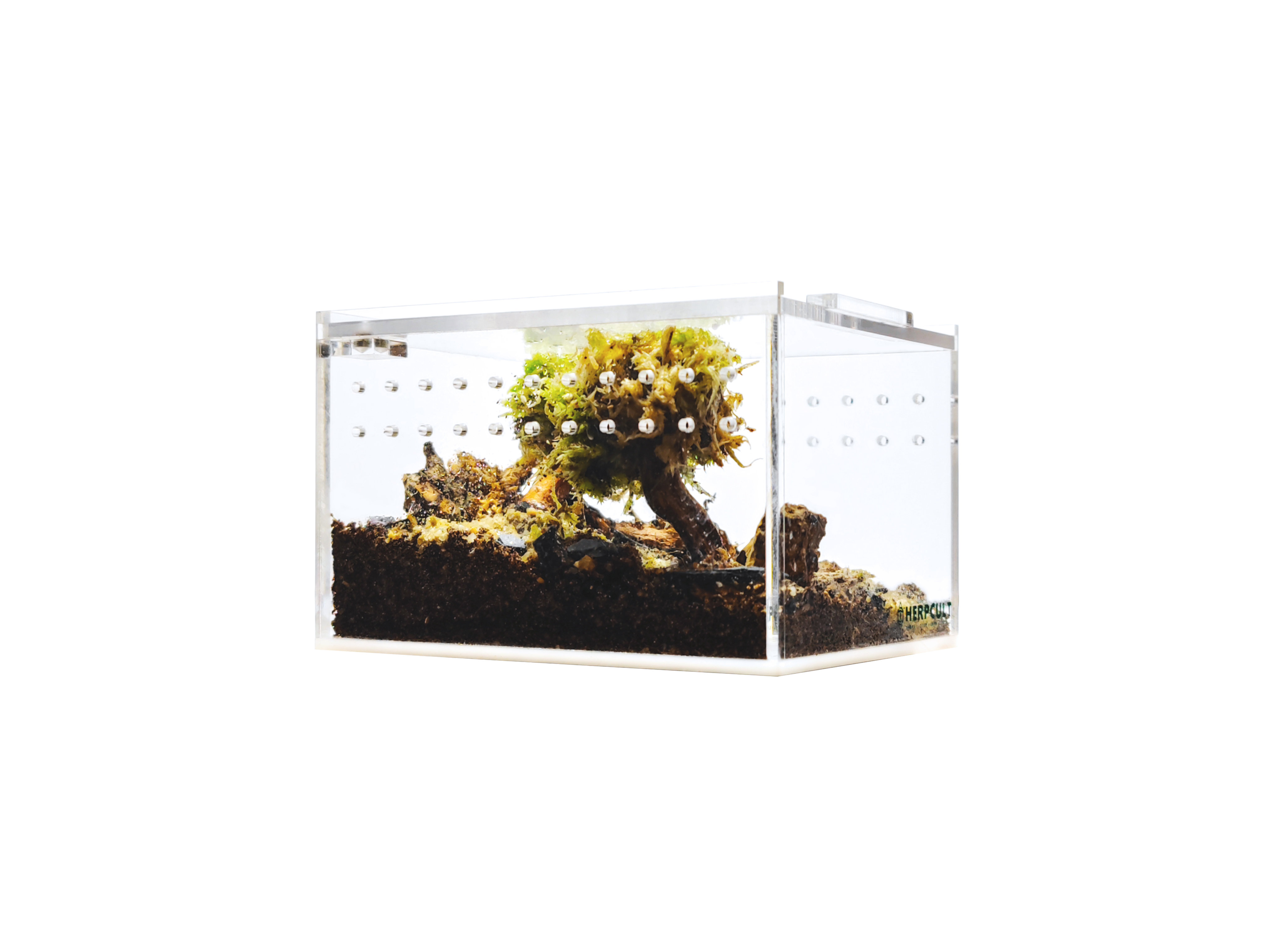 HerpCult Acrylic Enclosure & Reviews | Wayfair