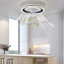 Diany 18.5'' Ceiling Fan with LED Lights