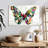 Butterfly Colors-107671711
